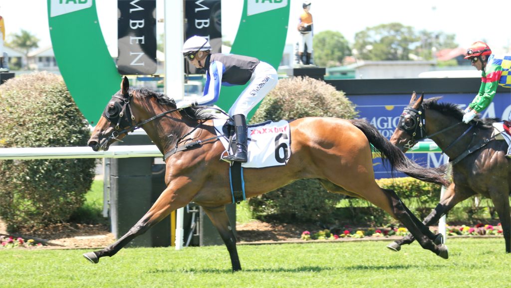 Gypsy Goddess (1) | Just Horse Racing