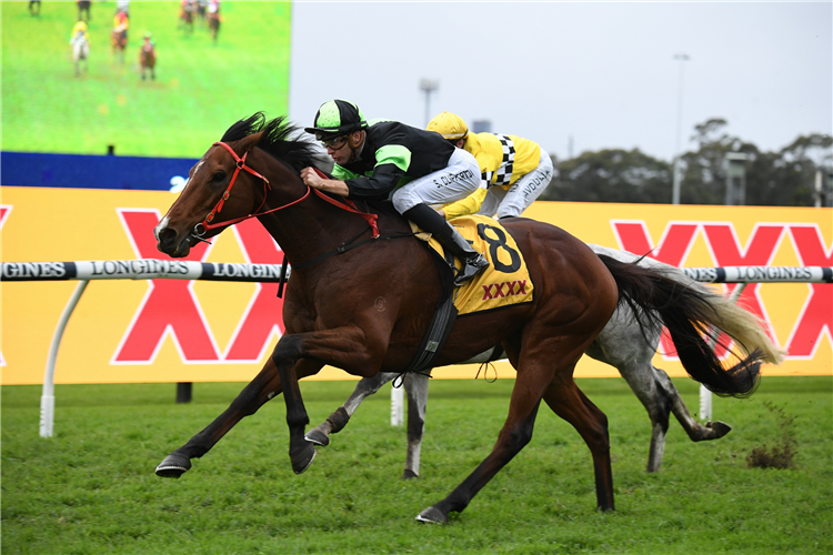 Stockman’s Cup date with Destiny | Just Horse Racing