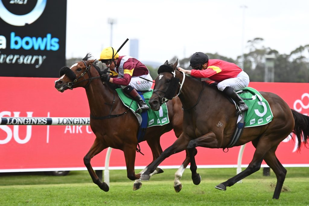 Huetor 0412210761 | Just Horse Racing