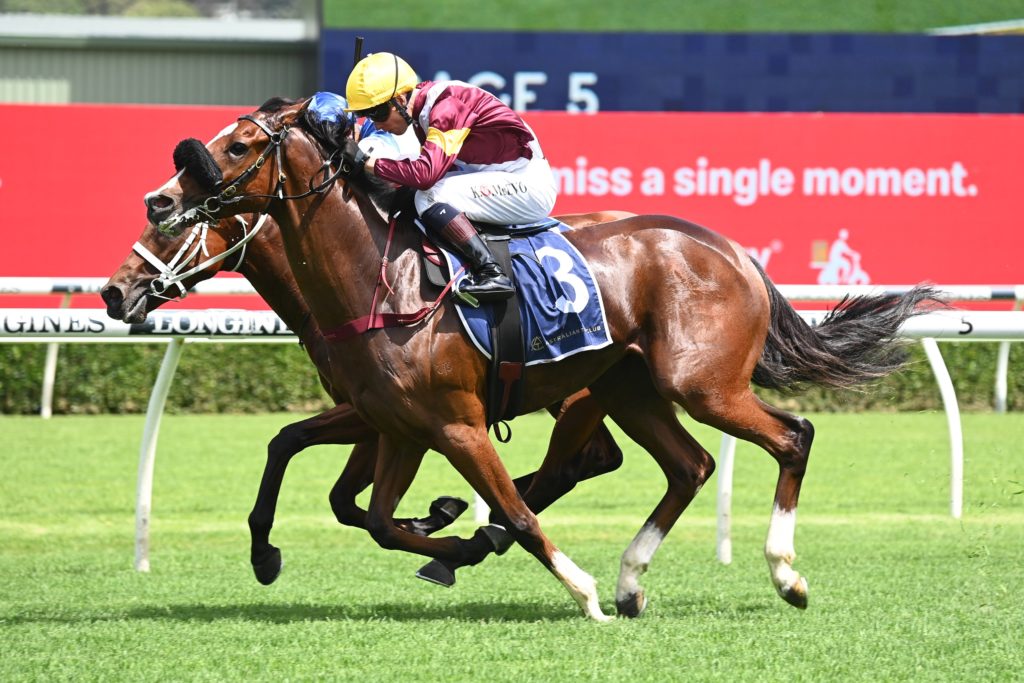 Huetor 1812214657 | Just Horse Racing