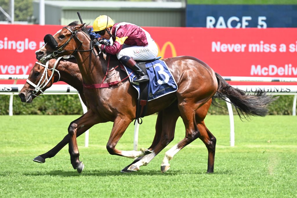 Huetor 1812214658 | Just Horse Racing