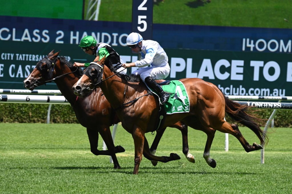 King's Trust 1812214486 | Just Horse Racing