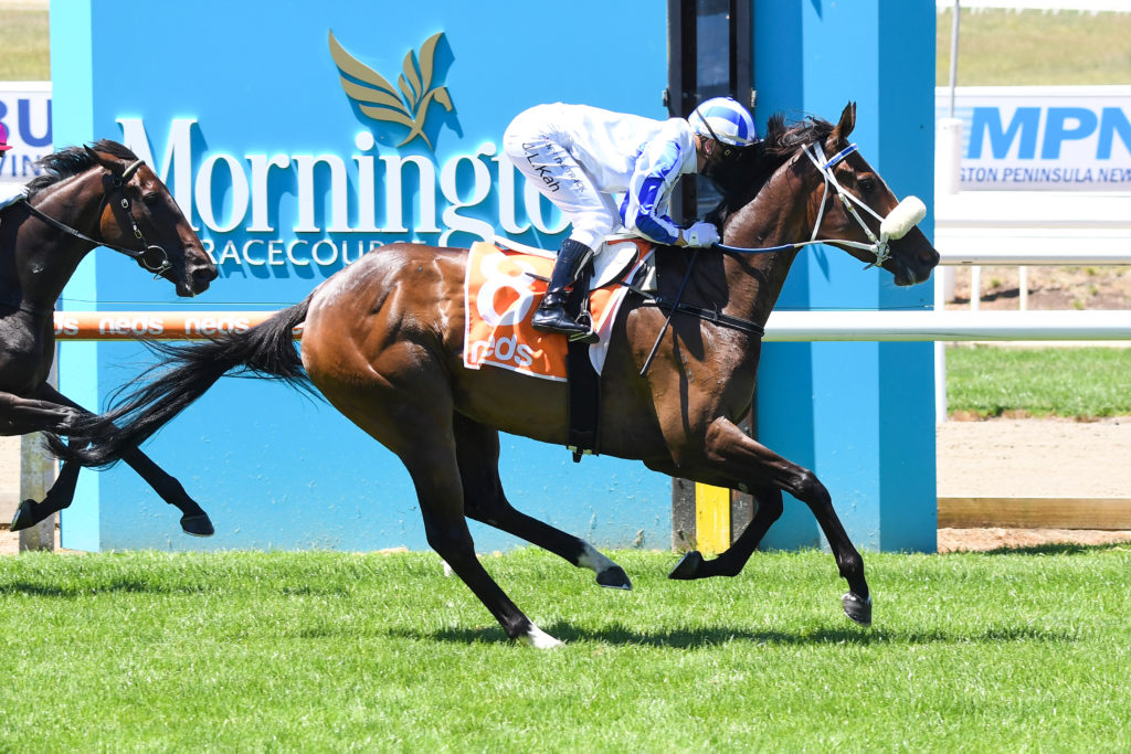/r3/ | Just Horse Racing