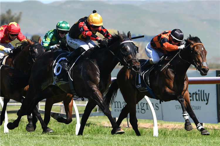 Mana Nui | Just Horse Racing