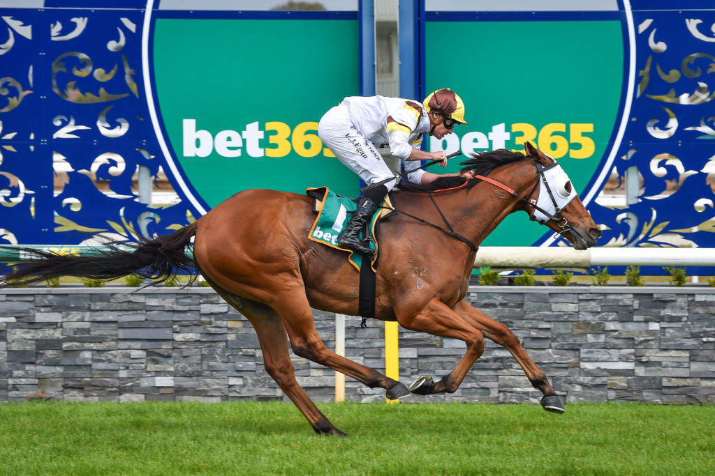 /r1/ | Just Horse Racing