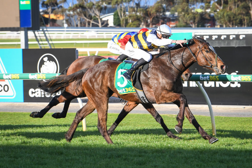 /r6/ | Just Horse Racing