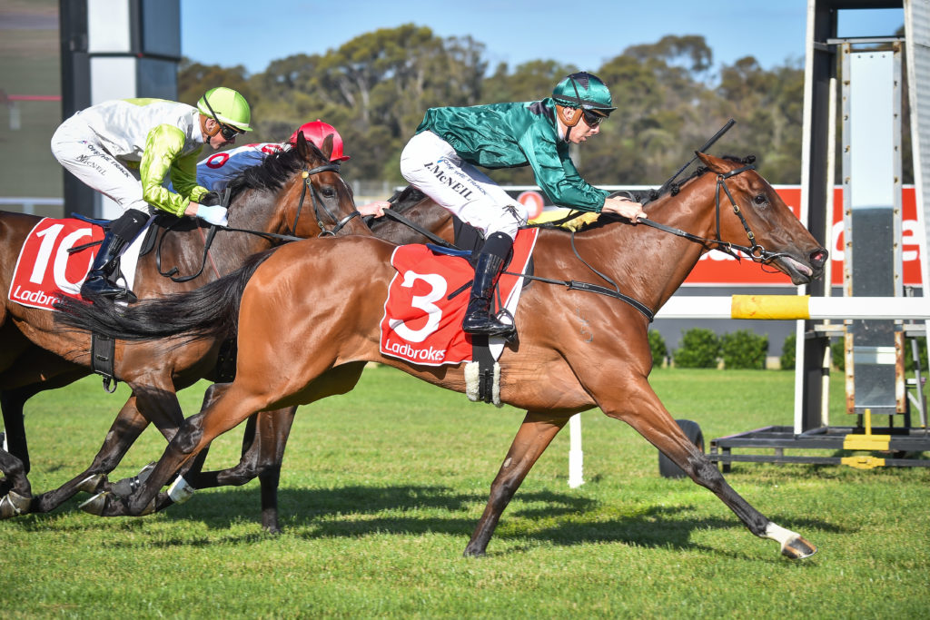 /r5/ | Just Horse Racing