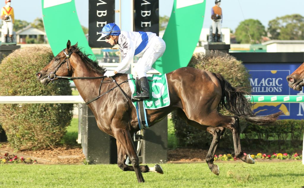 Zoustyle (1) | Just Horse Racing