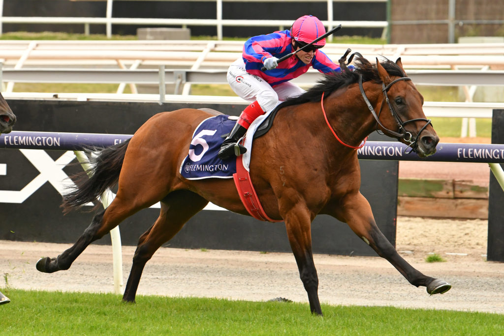 Stupendo | Just Horse Racing