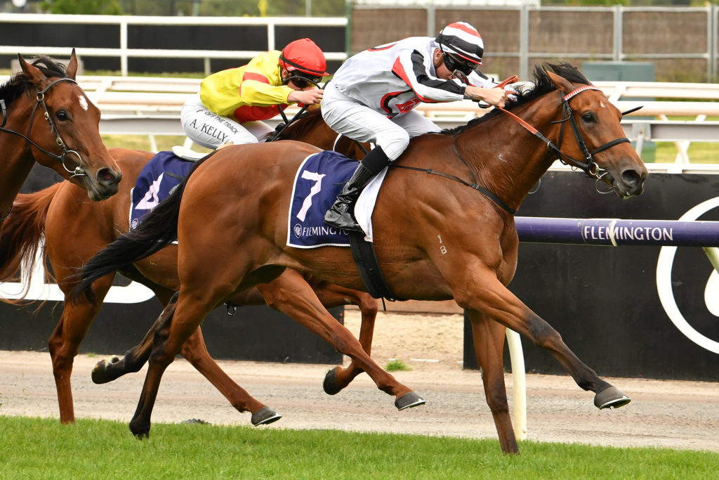 Philadelphia Storm | Just Horse Racing