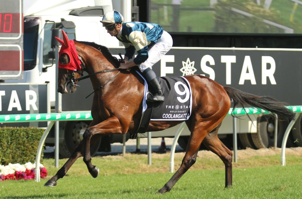 Coolangatta | Just Horse Racing