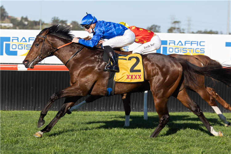 Anamoe poised for Expressway return | Just Horse Racing