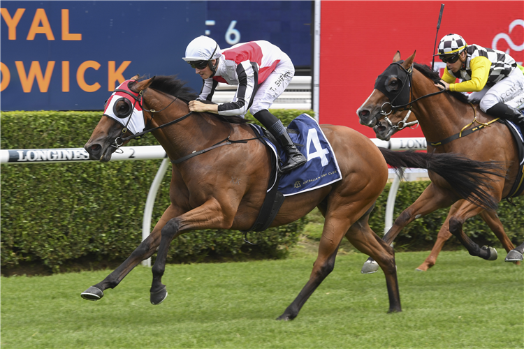 Kirwan’s Lane goes bang bang in the space of six days | Just Horse Racing