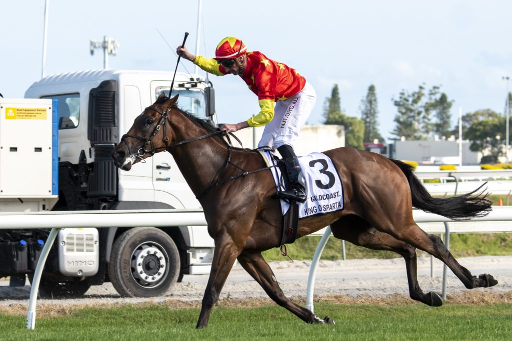 King Of Sparta 5953 | Just Horse Racing