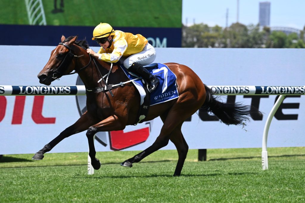 Queen Of The Ball 2901219943 | Just Horse Racing