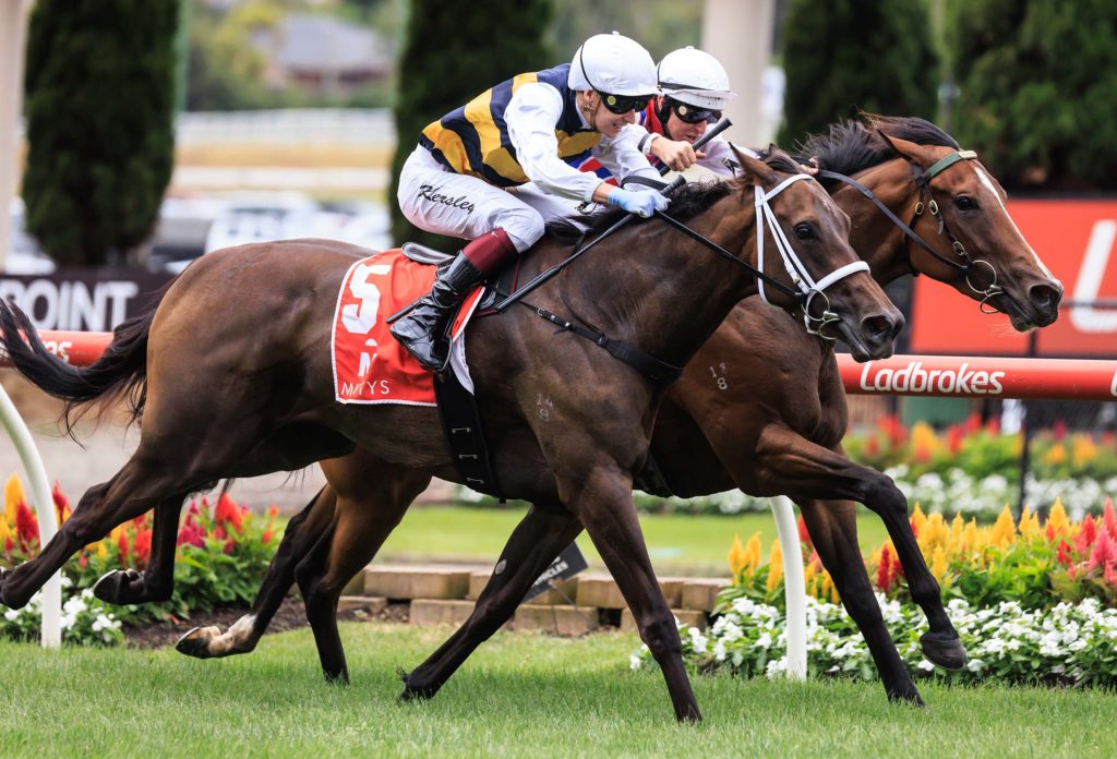 R1 Rioyuki_Damian Lane_224454_Courtney -2 | Just Horse Racing