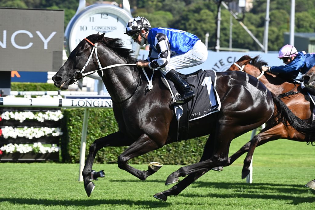 Special Reward 2201218768 | Just Horse Racing