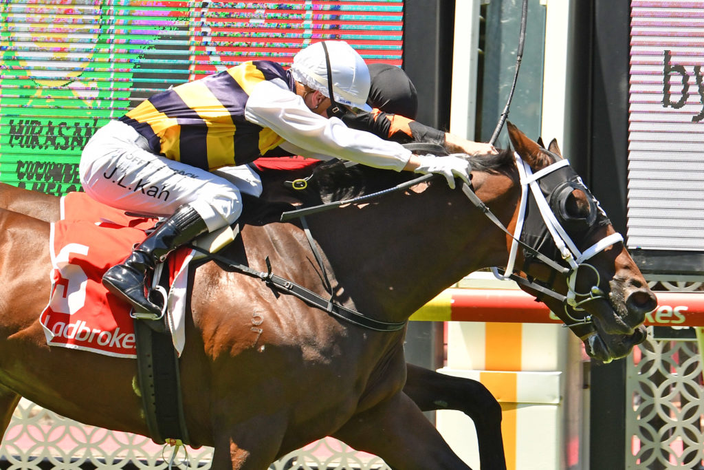 Daqiansweet Junior | Just Horse Racing