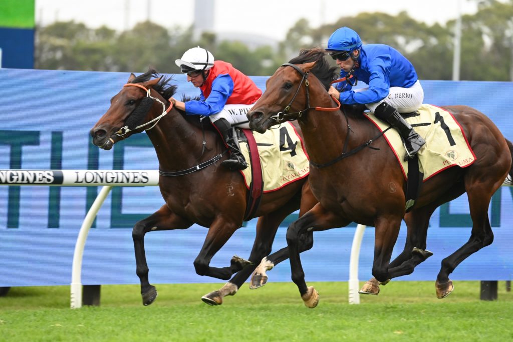 Anamoe 1902226881 | Just Horse Racing