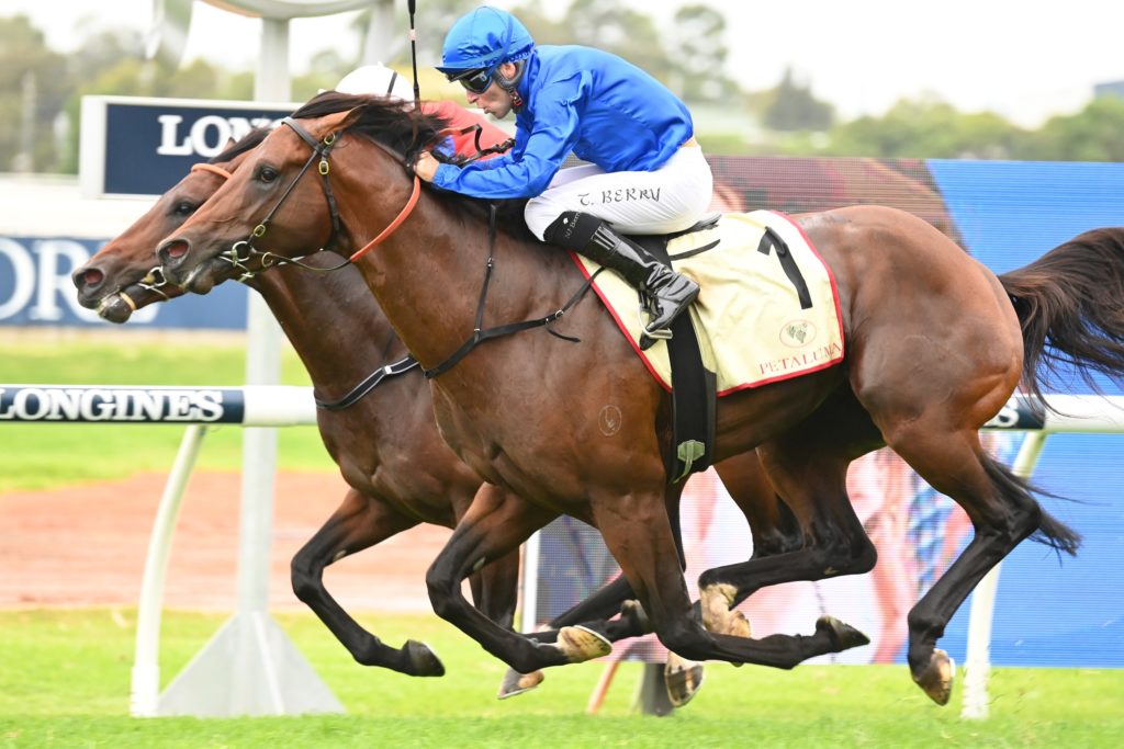 Anamoe 1902226891 | Just Horse Racing