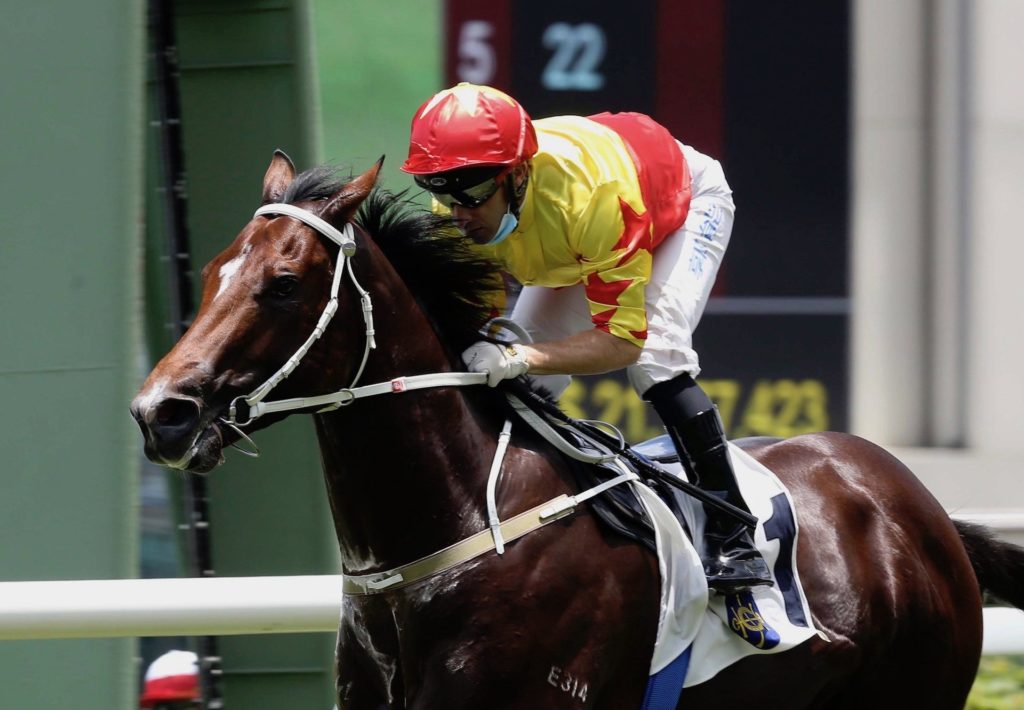 California Spangle | Just Horse Racing