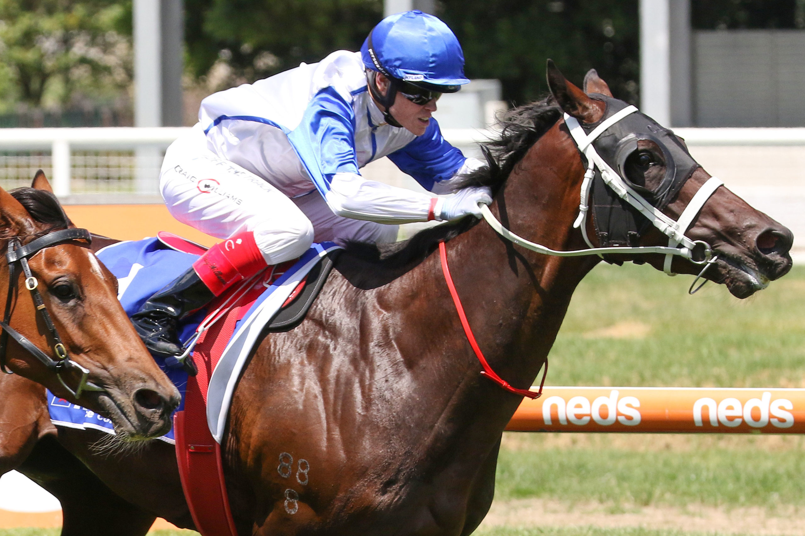 Coastwatch wins Autumn Stakes first-up at Caulfield - Vimarsana News