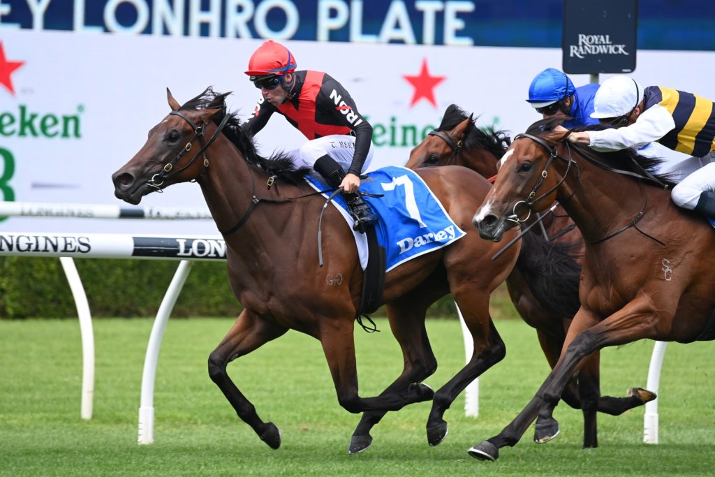 Cythera 0502220942 | Just Horse Racing
