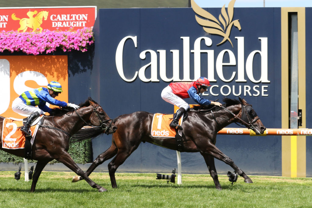 Finance Tycoon,Zeditave Stakes,Group 3_26-02-2022_WIN_Caulfield_1__70 | Just Horse Racing