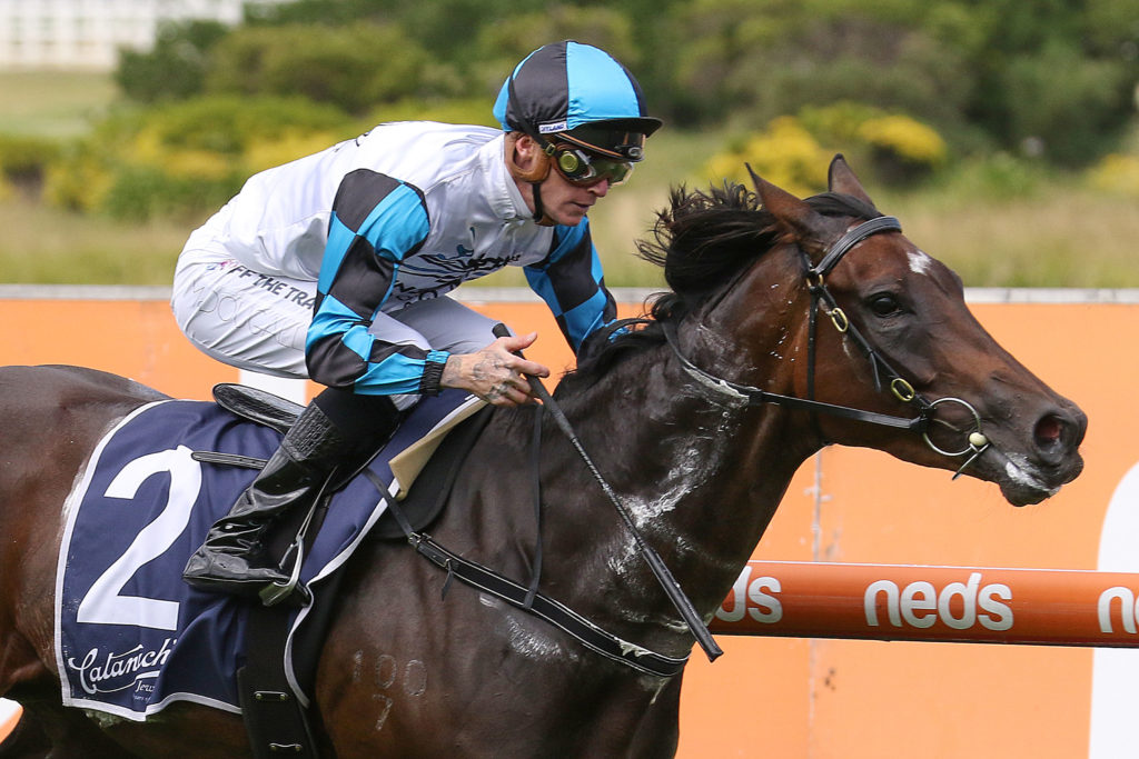 Flying Mascot,Mannerism Stakes,Group 3_26-02-2022_WIN_Caulfield_2__214 | Just Horse Racing