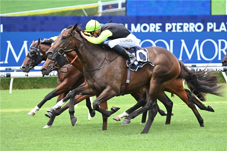 Mumbai Jewel sparkles in Randwick win | Just Horse Racing