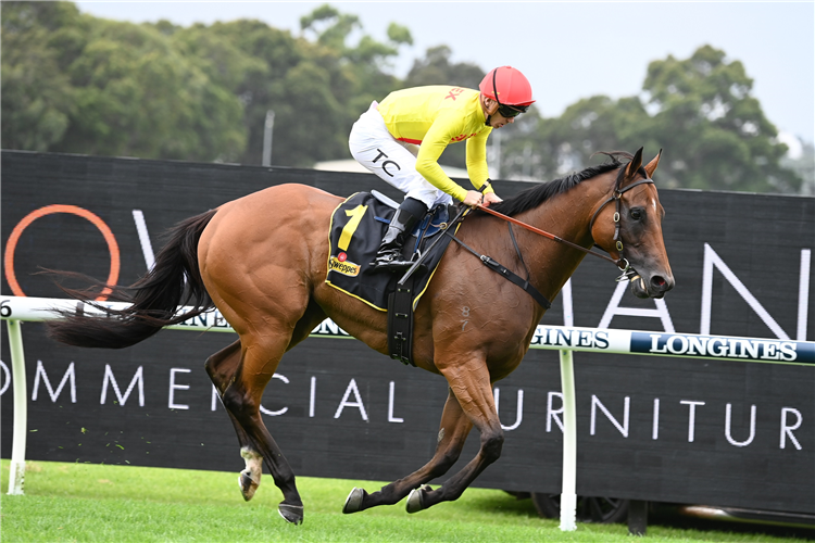 High five for Rule Of Law | Just Horse Racing