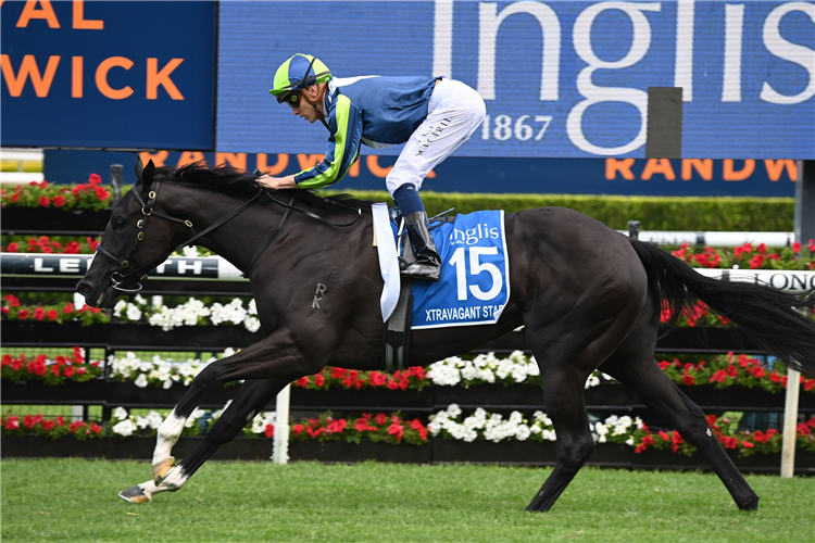 Inglis Millennium unearths a Star | Just Horse Racing