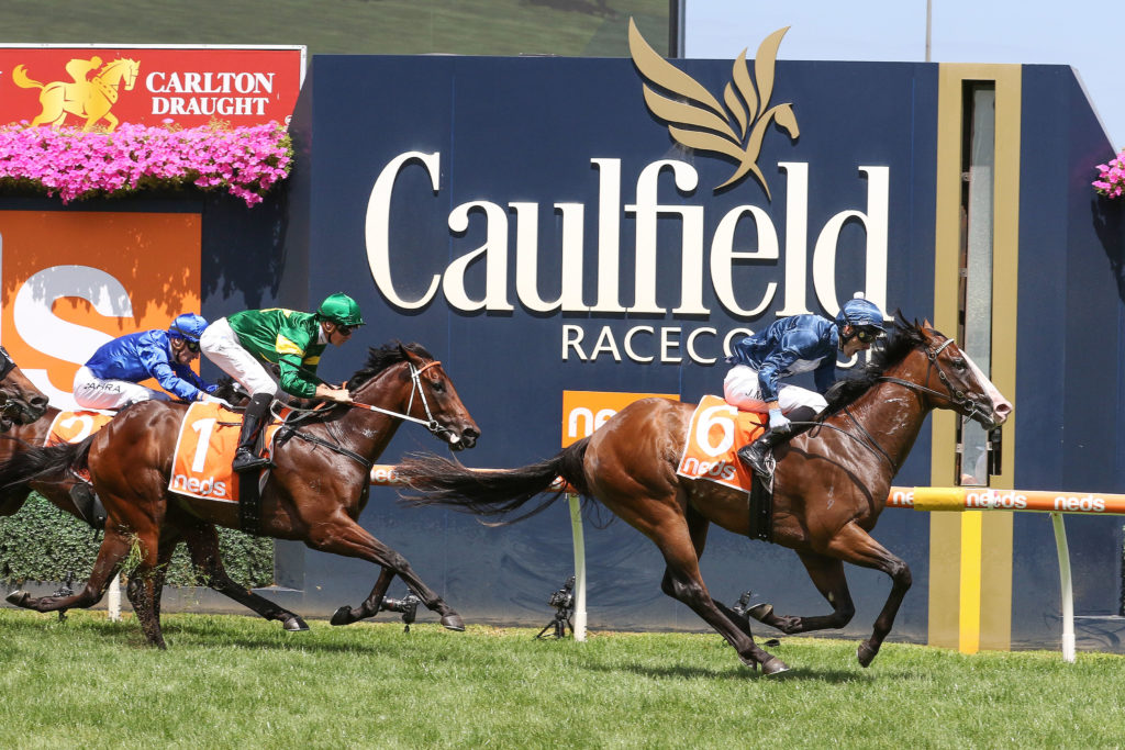 LOfty Strike,Blue Diamond Prelude,Group 3_12-02-2022_WIN_Caulfield_3__490 | Just Horse Racing