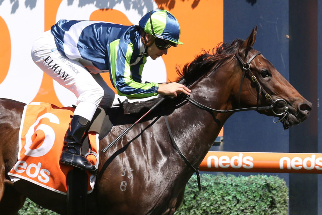 Lavish Girl,Angus Armanasco Stakes,Group 2_26-02-2022_WIN_Caulfield_4__400 | Just Horse Racing