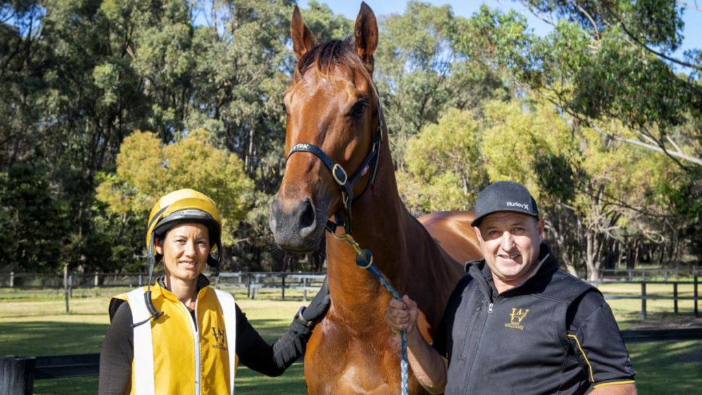 Western Empire at with co-trainers Grant and Alana Williams | Just Horse Racing
