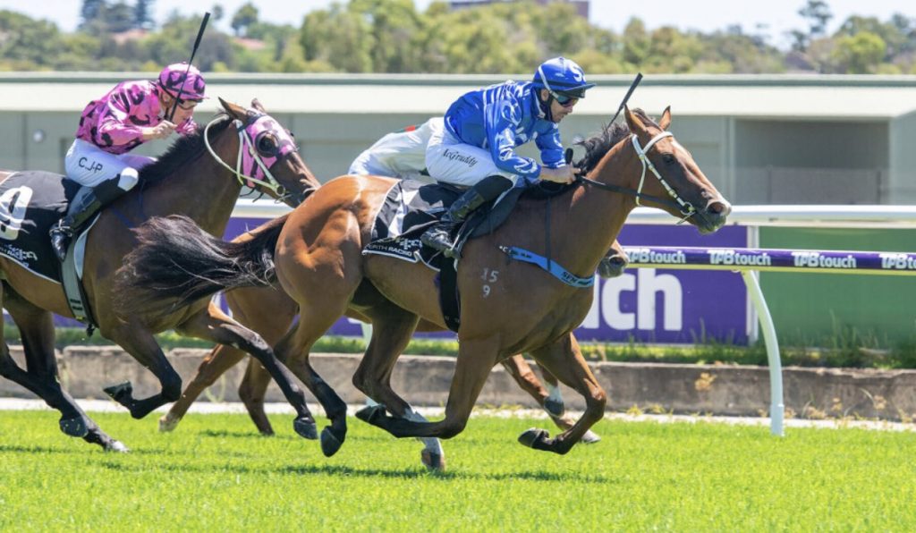 Saintorio | Just Horse Racing