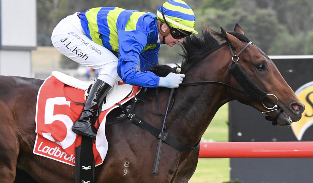 Sir Bailey | Just Horse Racing