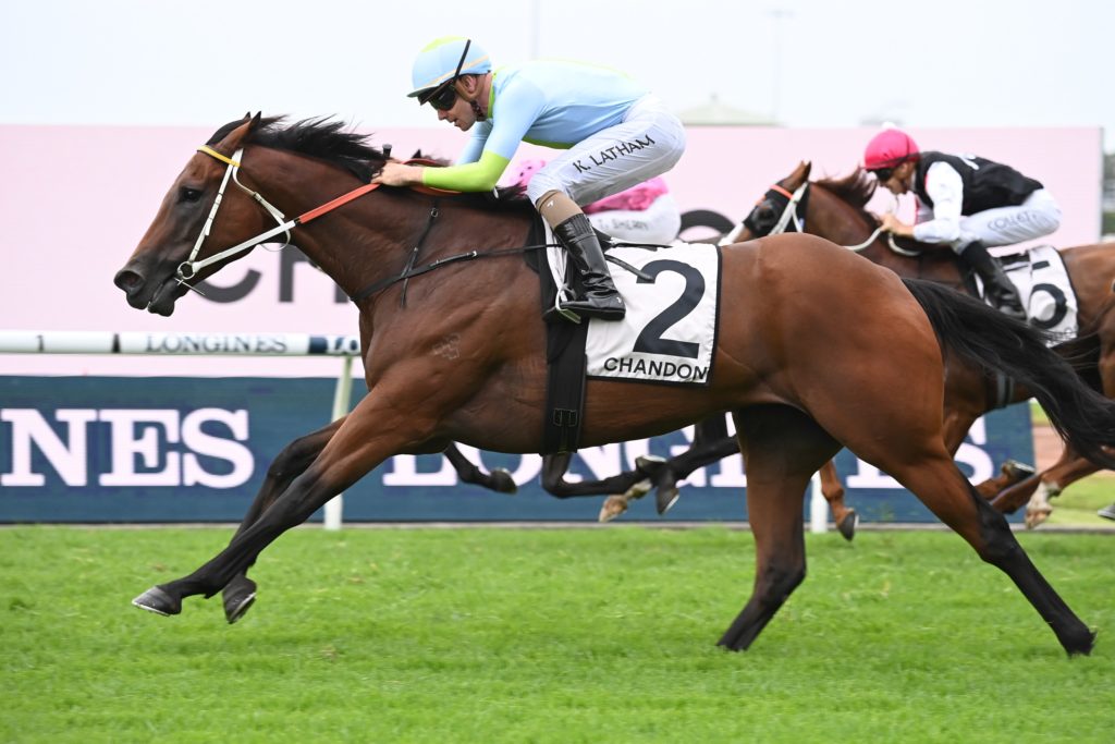 Sky Lab 1902227074 | Just Horse Racing