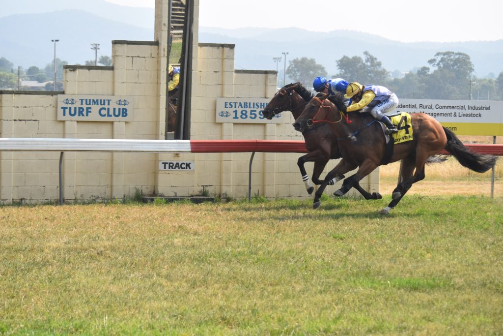 Tumut Races | Just Horse Racing