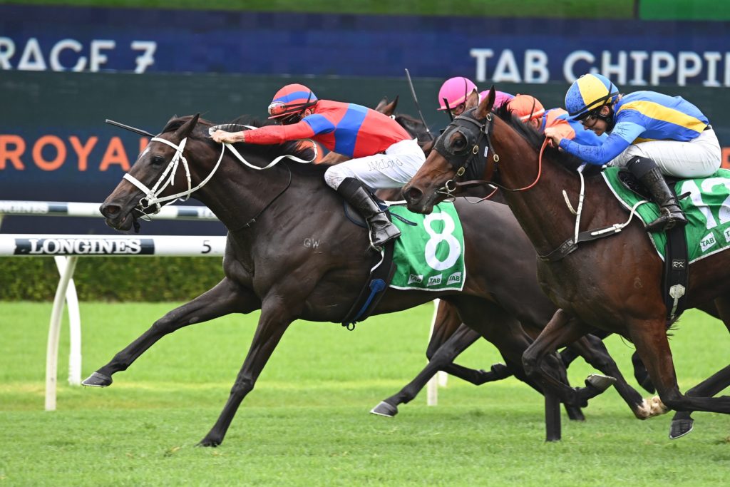 Verry Elleegant 2602228648 | Just Horse Racing