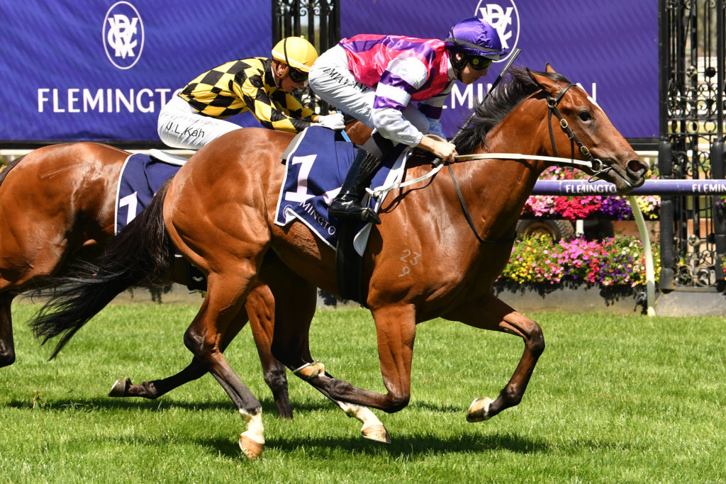I'mlovin'ya | Just Horse Racing