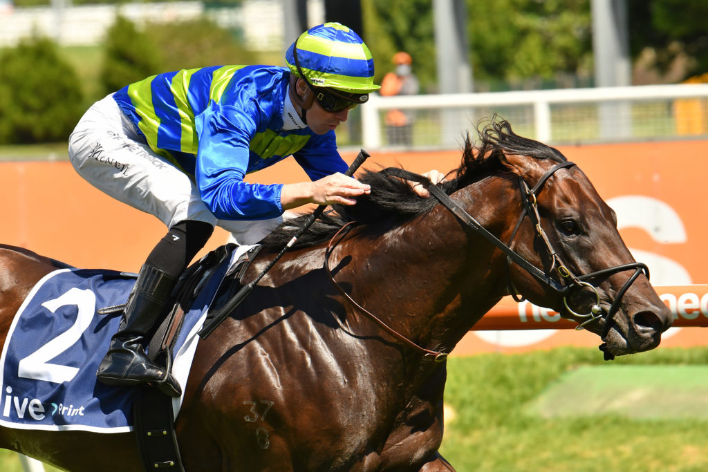 Generation | Just Horse Racing