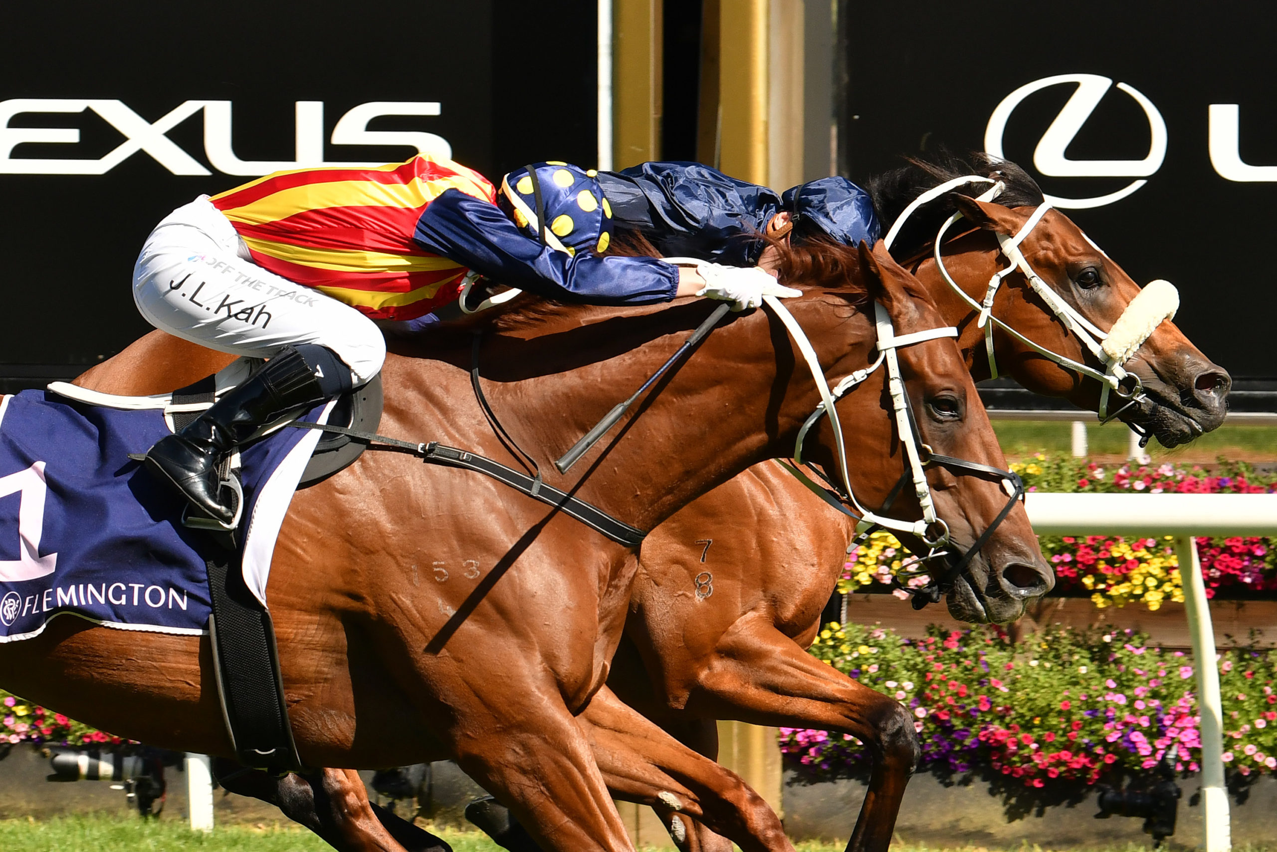 Star sprinters fight out Lightning Stakes finish - Vimarsana News
