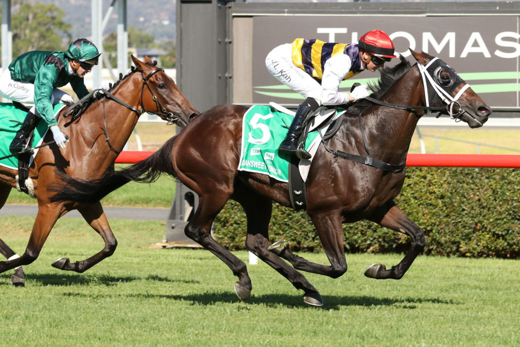 Daqiansweet Junior 0K9A1051 | Just Horse Racing