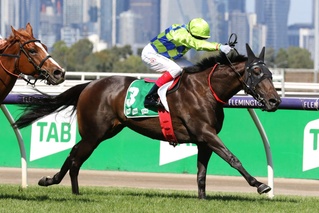 Barb Raider,Kewney Stakes,Group 2_12-03-2022_WIN_Flemington_5__1092 | Just Horse Racing