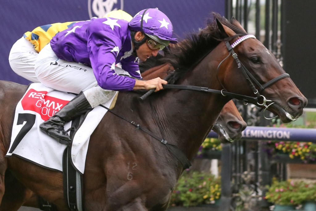 Bermadez_05-03-2022_WIN_Flemington_3__704 | Just Horse Racing