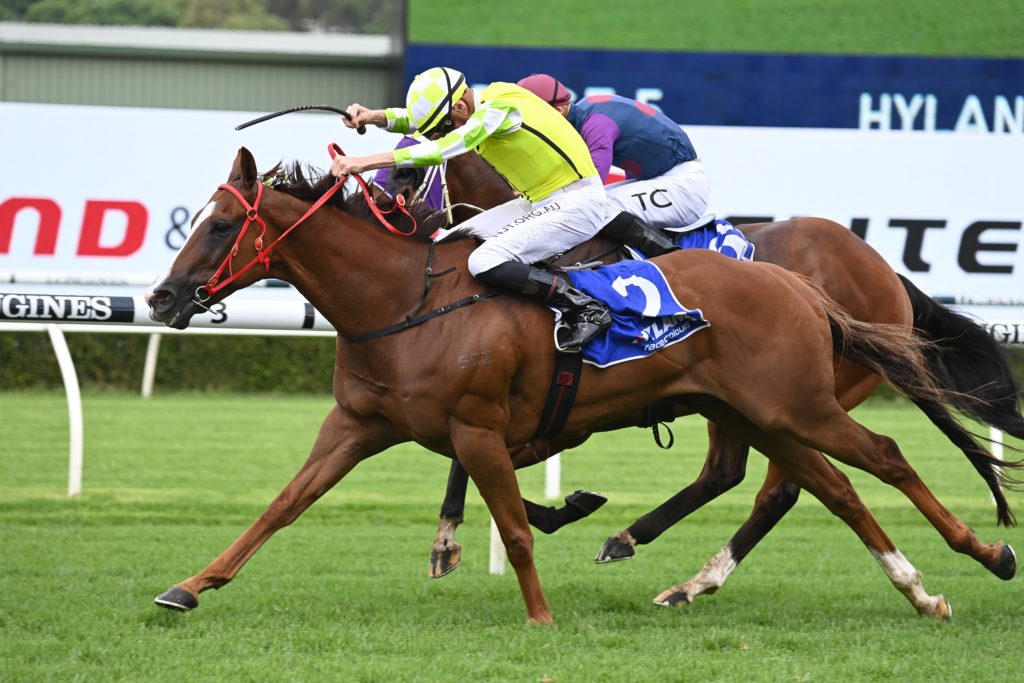 Eduardo 0503220090 | Just Horse Racing