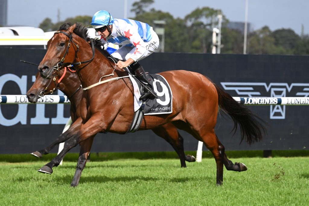 Forbidden Love 1903225631 | Just Horse Racing