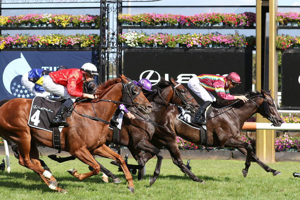 4/3/2023 Horse Racing Tips and Best Bets – Flemington, Australian Guineas day