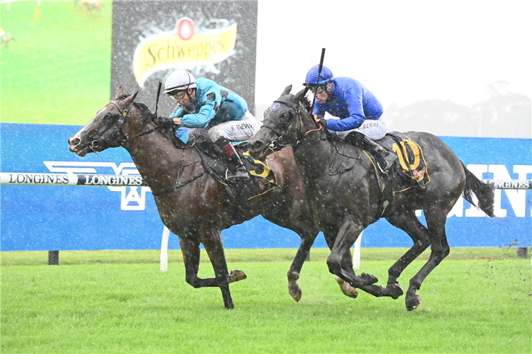 Williamsburg to back-up in G1 | Just Horse Racing